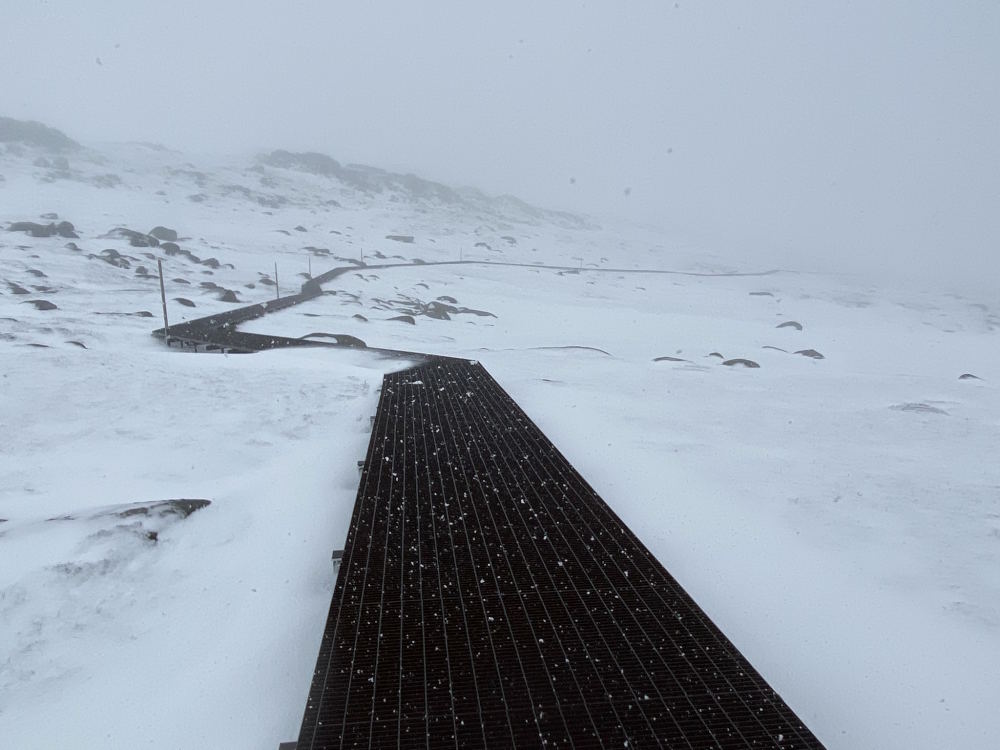Raised metal grate trail
