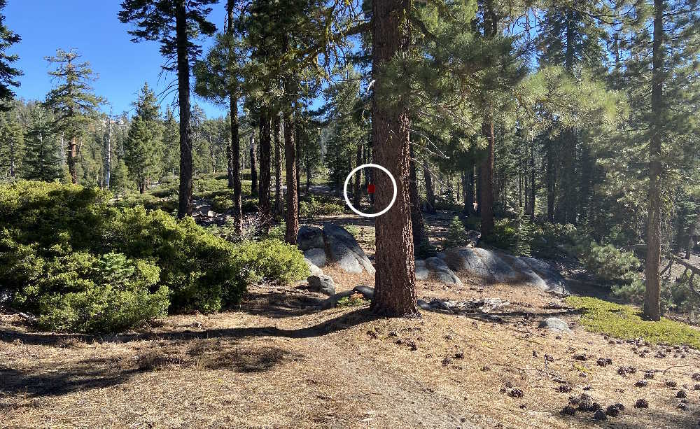 Red Metal Trail Marker