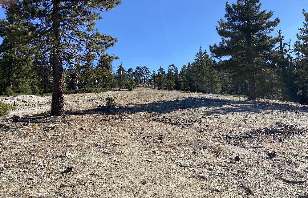 Approaching 7731 ft high point