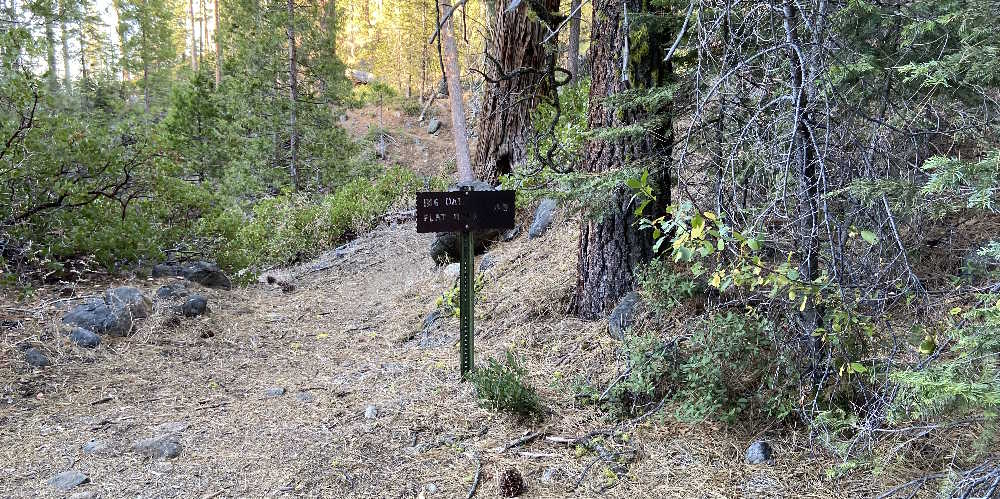 Junction of Old Big Oak Flat Road and Old Big Oak Flat Road Trail