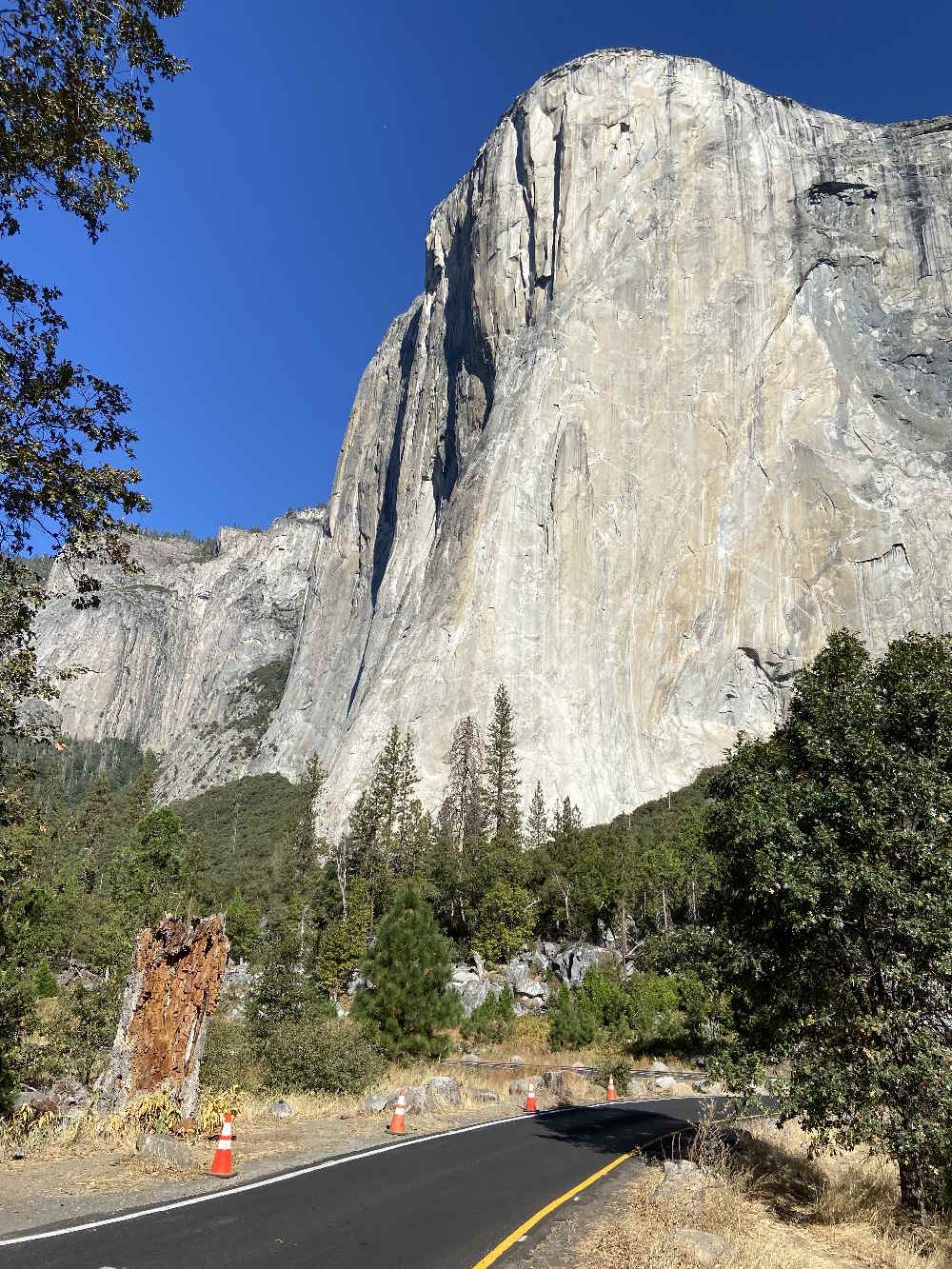 El Capitan Seen from the Valley