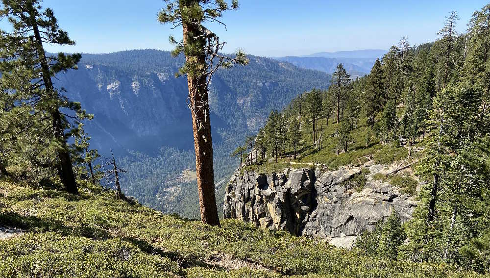 Looking Back Across the Gully on the Way Down