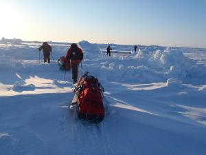 On the move on sea ice